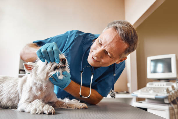 Best Same-Day Emergency Dental Services in Bar Nunn, WY